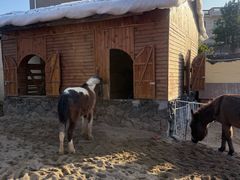 -HERRE·FARM 赫尔露营农场·团建聚会包场