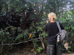 -广州长隆飞鸟乐园