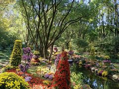 -上海共青森林公园