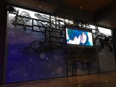 -万达影城IMAX(海口日月广场店)