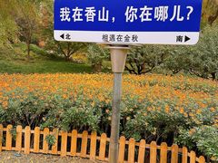 -香山公园