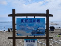 -棒棰岛宾馆景区