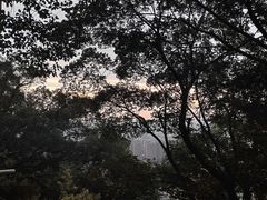 -惠山国家森林公园