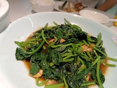 -十六台·经典广东菜(德外大街店)