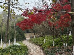 -白马涧龙池景区