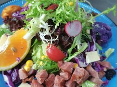 果木香薰鸭肉沙拉-栖巢咖啡馆(双岗店)