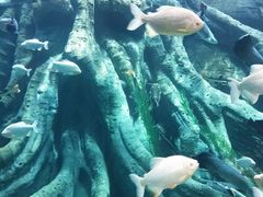 -哈尔滨波塞冬海底世界