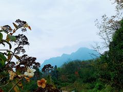 -山王坪喀斯特国家生态公园