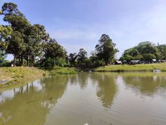 -两河城市森林公园