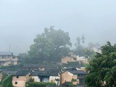 -杨家堂村