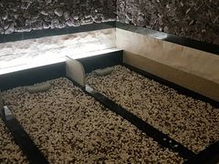-汤里来温泉