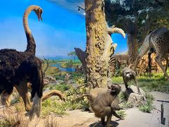 -国家自然博物馆