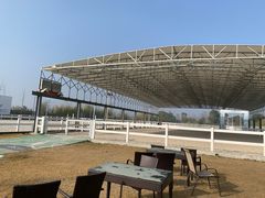 -上海崇明金茂凯悦酒店