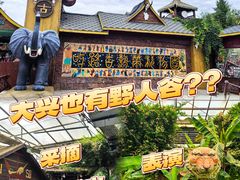 -呀路古热带植物园
