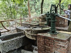 -广州白江湖森林公园