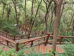 -大岭沟猕猴桃谷风景区