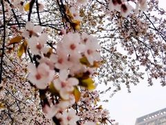 -白塘生态植物园