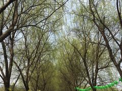 -长兴太湖图影湿地文化园