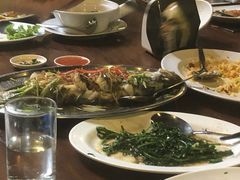 -绿光森林餐厅