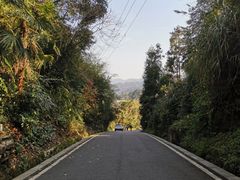 -碧峰峡风景区