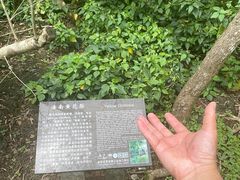 -海口火山口国家地质公园