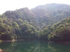 -祁门牯牛降观音堂风景区