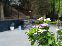 -箱美术馆私房菜(水晶郦城店)