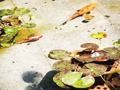 -壮乡楼民俗文化苑(李宁体育园店)