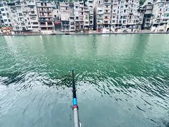 -古城苗家土菜馆(河景餐厅店)