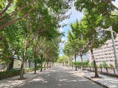 -华侨大学(厦门校区)