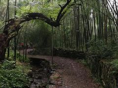 -会稽山峡洞漂流-上青古道