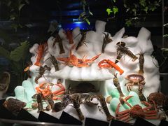 -蓝钻·国际美食海鲜自助百汇(西直门店)