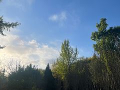-东升八家郊野公园