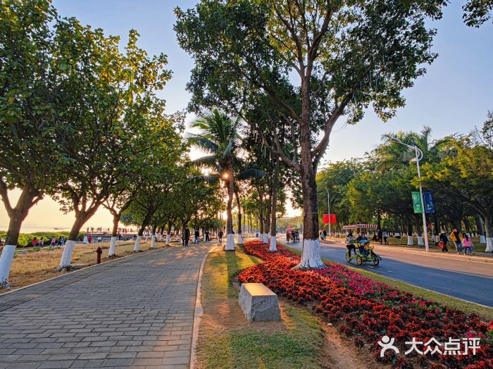 滨海公园图片