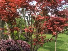 -枫香湖儿童公园