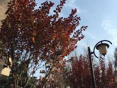 -陕西师范大学(雁塔校区)