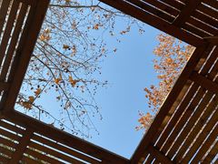 -春晖园度假酒店温泉