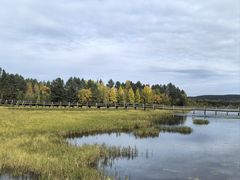 -北极村旅游风景区