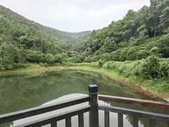 -九龙潭景区