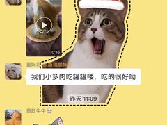 -美联众合动物医院·24h转诊中心