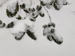 -终南山国家森林公园