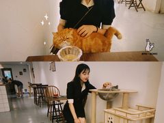 -猫友咖啡店(玉林西路店)