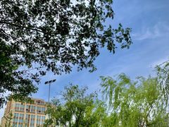 -南翔镇银翔湖公园