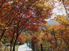 -丹东天桥沟景区
