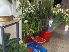 -FEI FEI FLOWER鲜花店·气球派对·宝宝宴布置(虹口德必运动Loft店)