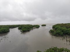 -北海金海湾红树林生态旅游区