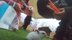 -萌宠亲子动物乐园(槐房万达店)