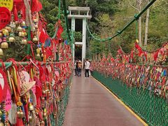 -西双版纳原始森林公园