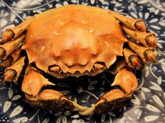 -江杨农产品批发市场