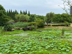 -宜兴龙背山森林公园